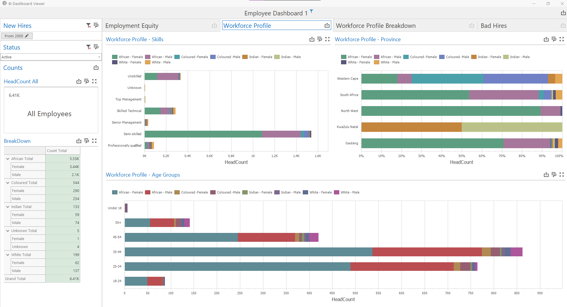 HR Manage BI dashboard: workforce profile by skills level, province and age group